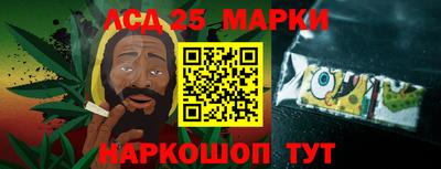 шишки Изобильный