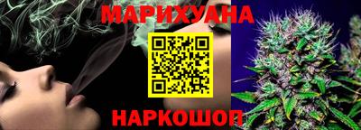 шишки Изобильный