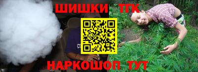 шишки Изобильный