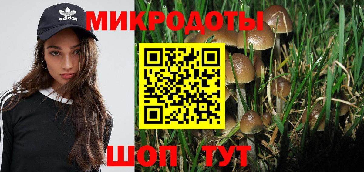 Галлюциногенные грибы мухоморы  где купить наркоту  Североморск  Вход с VPN  Галлюциногенные грибы MAGIC MUSHROOMS 